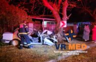 Vehicle crashed into a tree on De la Rey Road in General de Wet, Bloemfontein
