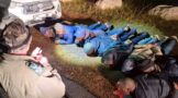 12 Suspects Arrested for Attempted Abalone Poaching in Cape Point