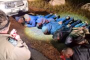 12 Suspects Arrested for Attempted Abalone Poaching in Cape Point