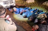 12 Suspects Arrested for Attempted Abalone Poaching in Cape Point