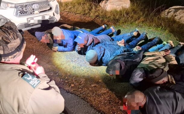 12 Suspects Arrested for Attempted Abalone Poaching in Cape Point