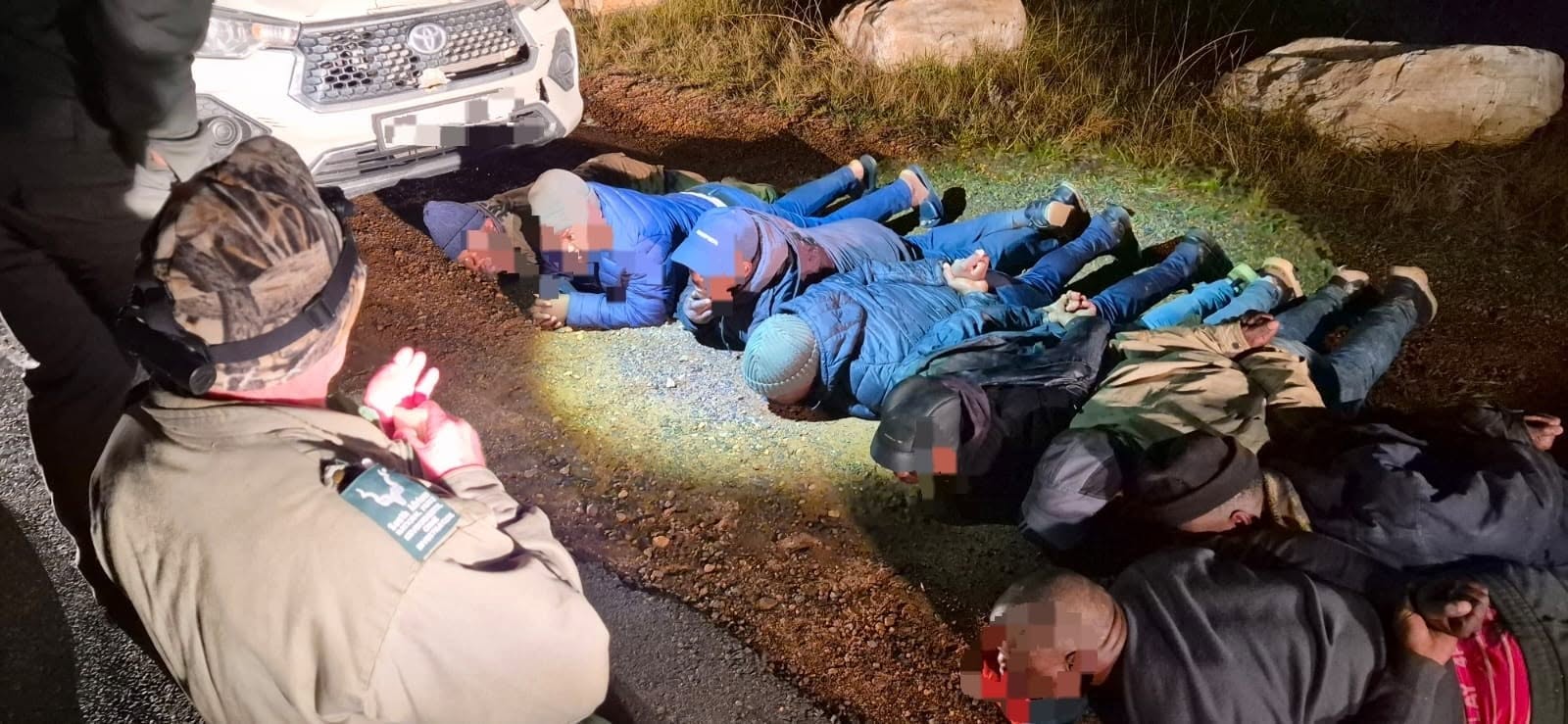 12 Suspects Arrested for Attempted Abalone Poaching in Cape Point