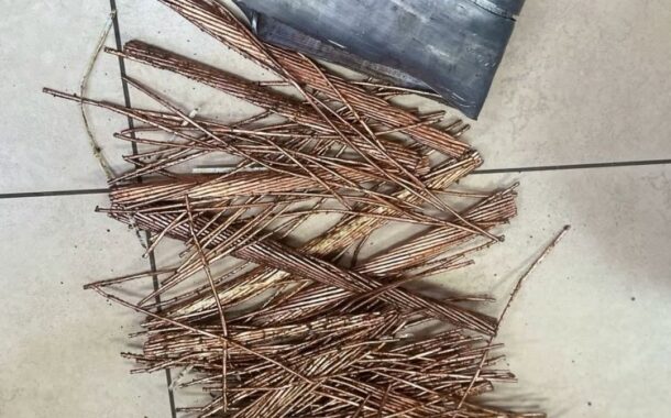 Suspects arrested for the possession of drugs and stolen copper cables