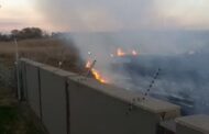 Vegetation fire extinguised near a residential estate in Kempton Park