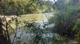 Third body retrieved in the Crocodile River near Kamagugu, outside Mbombela