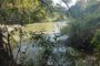 Third body retrieved in the Crocodile River near Kamagugu, outside Mbombela