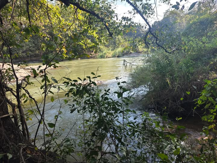 Third body retrieved in the Crocodile River near Kamagugu, outside Mbombela