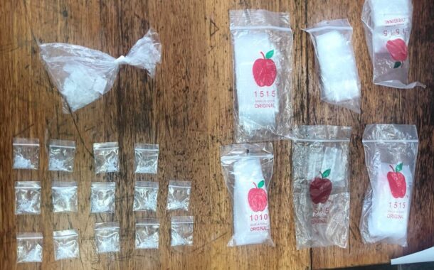 Suspects arrested for housebreaking, theft and dealing in drugs