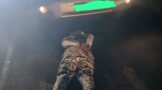 Arrest made and vehicle recovered during a multidisciplinary anti-smuggling operation conducted by law enforcement agencies in Limpopo,