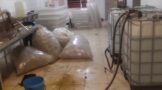 The police in Mpumalanga have arrested seven undocumented foreign nationals following the discovery of an illegal alcohol manufacturing operation at a building in Ogies