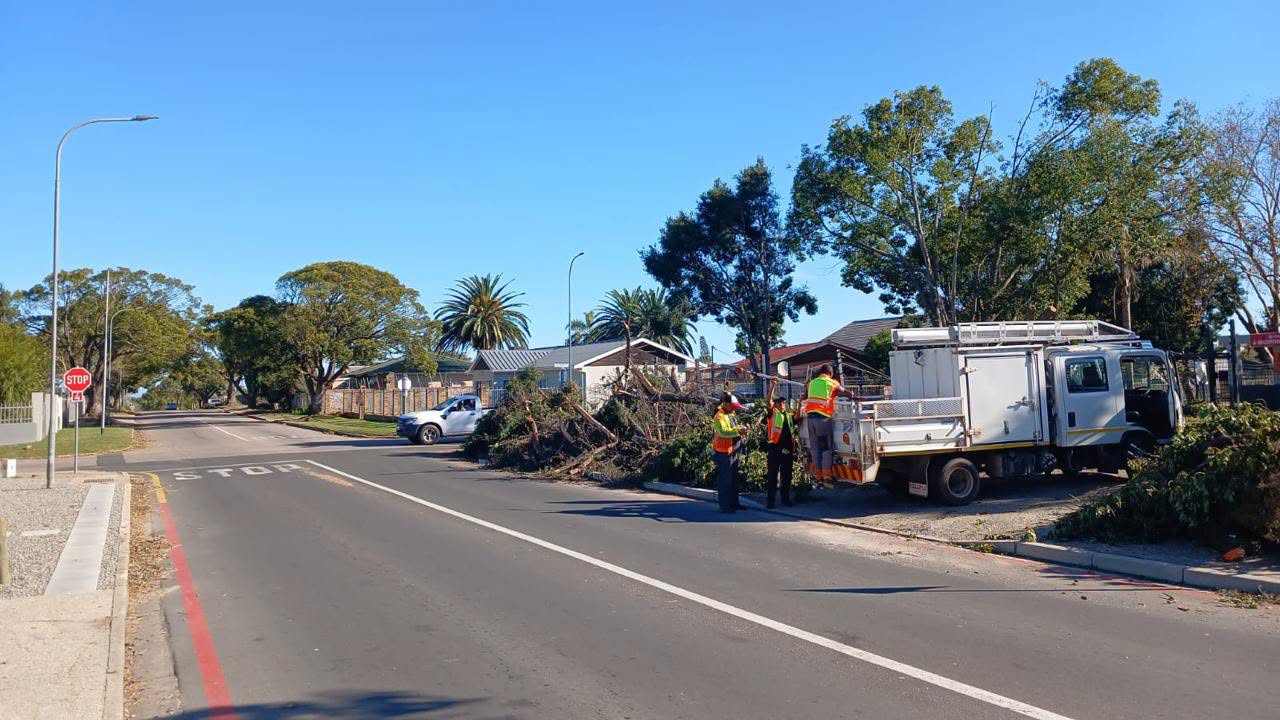 George Municipality continues storm clean-up across municipal area