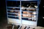 Armed Robbers Net More Than 100 Goats: Canelands - KZN