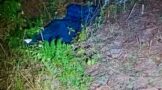 Body Of Missing Man Discovered: Emona - KZN