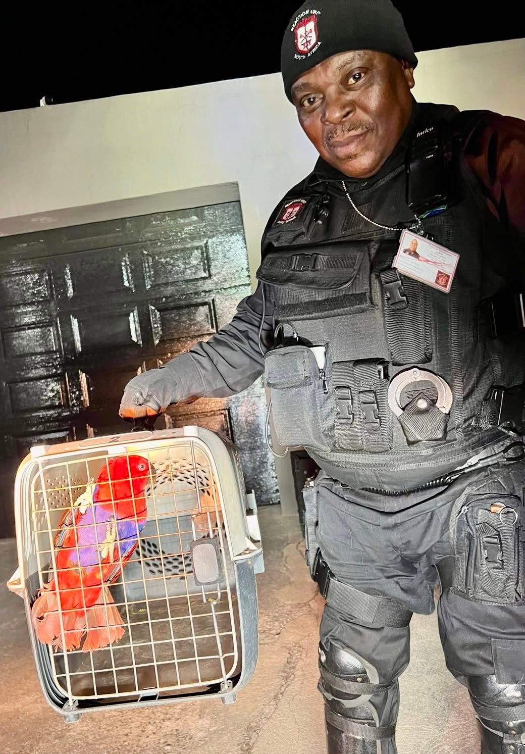 Owner Of Parrot Sought: Brindhaven - KZN
