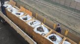 The SAPS will destroy 11 859 firearms and firearm parts during a destruction process taking place in Gauteng