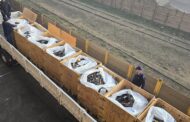 The SAPS will destroy 11 859 firearms and firearm parts during a destruction process taking place in Gauteng