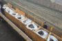 The SAPS will destroy 11 859 firearms and firearm parts during a destruction process taking place in Gauteng