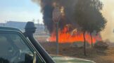 Fidelity SecureFire crews responded to a vegetation fire in Gosforth Park