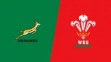The Durban Metropolitan Police Service advises motorists and rugby supporters that the Springboks will take on Wales at Hollywoodbets Kings Park Stadium on Saturday