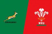 The Durban Metropolitan Police Service advises motorists and rugby supporters that the Springboks will take on Wales at Hollywoodbets Kings Park Stadium on Saturday