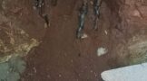 Workers of a contractor arrested for cable theft in the Johannesburg CBD