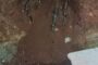 Workers of a contractor arrested for cable theft in the Johannesburg CBD